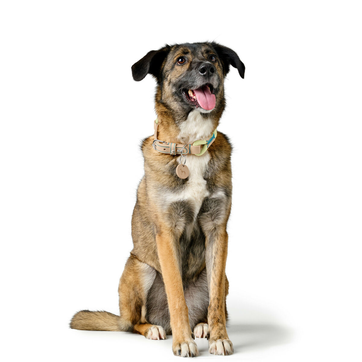 Collar para Perro Hunter MALIA Verde M/L 45-54 cm